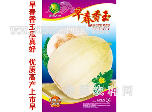 早春香玉甜瓜种子